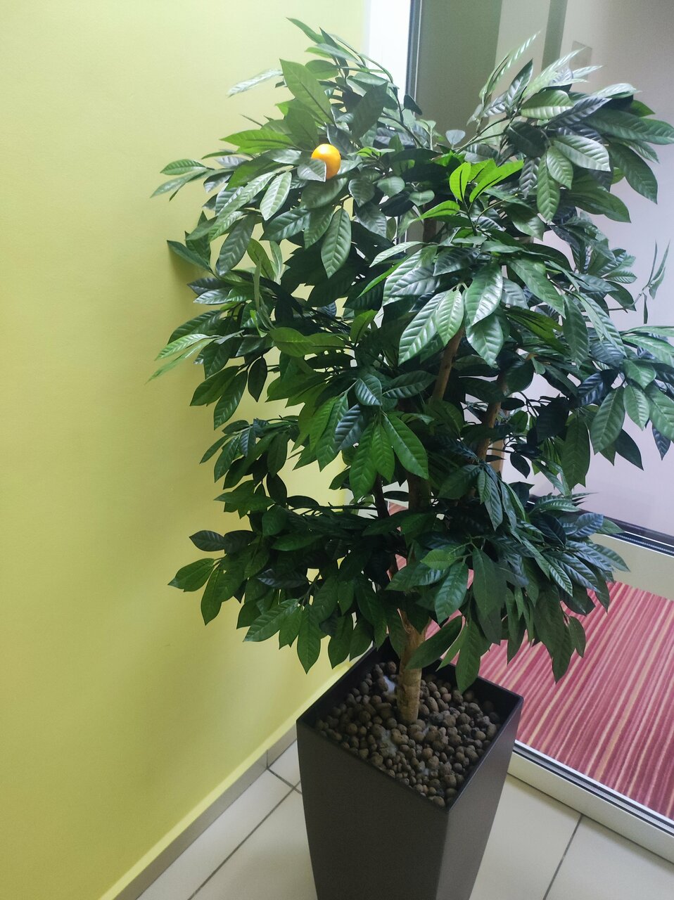 Гостиница Бест Вестерн Калуга Калуга-193